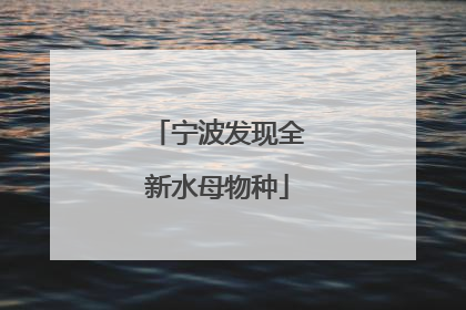 宁波发现全新水母物种