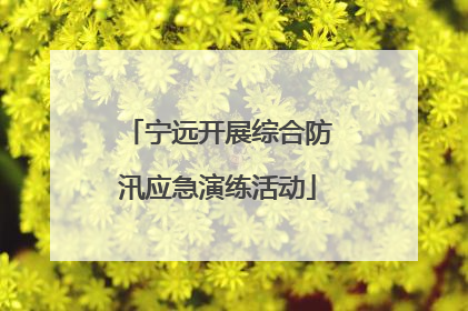 宁远开展综合防汛应急演练活动