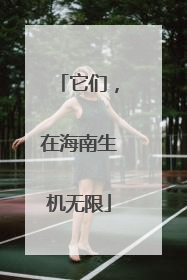 它们，在海南生机无限