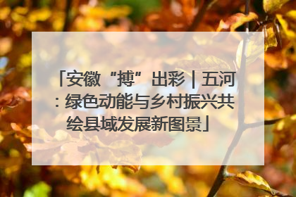 安徽“搏”出彩｜五河：绿色动能与乡村振兴共绘县域发展新图景