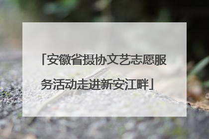 安徽省摄协文艺志愿服务活动走进新安江畔