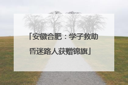 安徽合肥：学子救助昏迷路人获赠锦旗