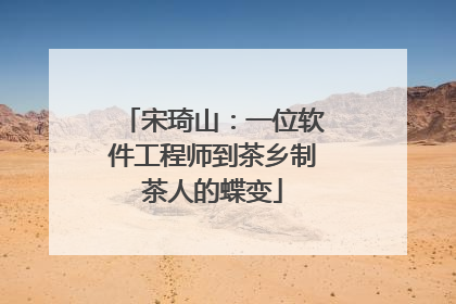 宋琦山：一位软件工程师到茶乡制茶人的蝶变