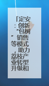 定安：创新“包树”销售等模式，助力荔枝产业转型升级和品牌打造