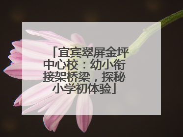宜宾翠屏金坪中心校：幼小衔接架桥梁，探秘小学初体验