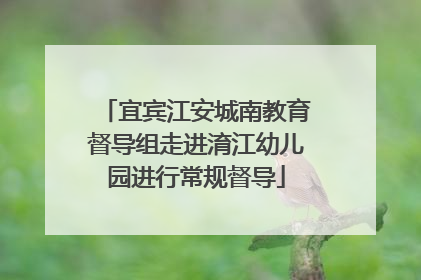 宜宾江安城南教育督导组走进淯江幼儿园进行常规督导