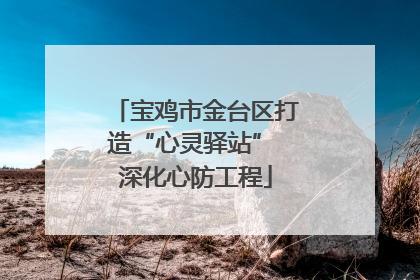 宝鸡市金台区打造“心灵驿站” 深化心防工程