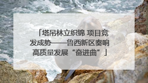 塔吊林立织锦 项目竞发成势——鲁西新区奏响高质量发展“奋进曲”
