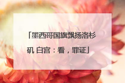 墨西哥国旗飘扬洛杉矶 白宫：看，罪证