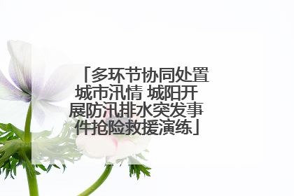 多环节协同处置城市汛情 城阳开展防汛排水突发事件抢险救援演练