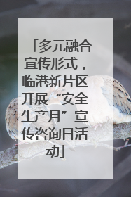 多元融合宣传形式，临港新片区开展“安全生产月”宣传咨询日活动