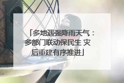 多地遇强降雨天气：多部门联动保民生 灾后重建有序推进