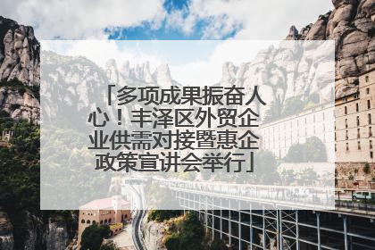 多项成果振奋人心！丰泽区外贸企业供需对接暨惠企政策宣讲会举行