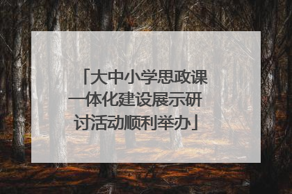 大中小学思政课一体化建设展示研讨活动顺利举办