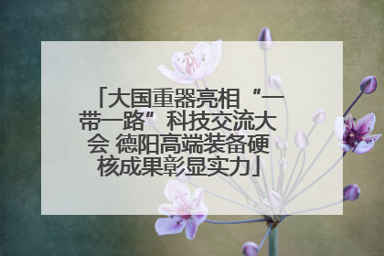 大国重器亮相“一带一路”科技交流大会 德阳高端装备硬核成果彰显实力