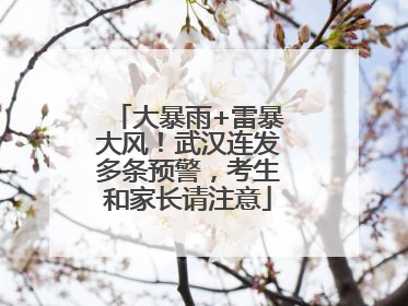 大暴雨+雷暴大风！武汉连发多条预警，考生和家长请注意