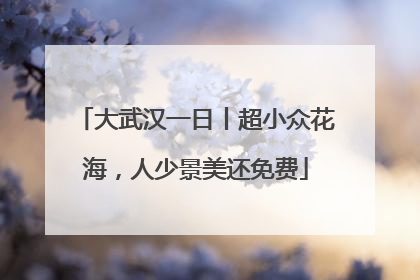 大武汉一日丨超小众花海，人少景美还免费