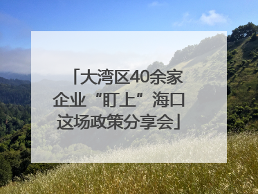 大湾区40余家企业“盯上”海口这场政策分享会