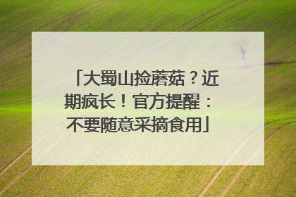 大蜀山捡蘑菇？近期疯长！官方提醒：不要随意采摘食用