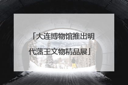 大连博物馆推出明代藩王文物精品展