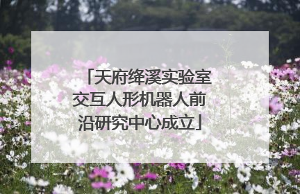 天府绛溪实验室交互人形机器人前沿研究中心成立
