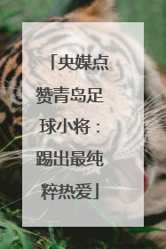央媒点赞青岛足球小将：踢出最纯粹热爱