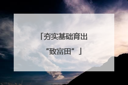 夯实基础育出“致富田”