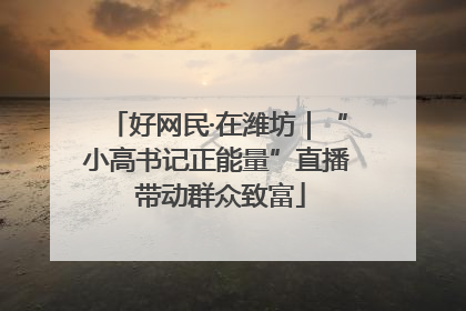 好网民·在潍坊｜“小高书记正能量”直播 带动群众致富