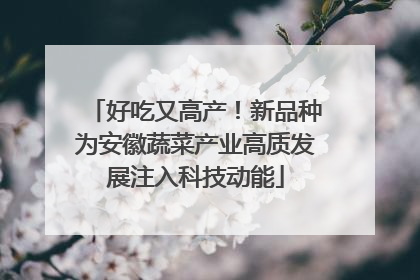 好吃又高产！新品种为安徽蔬菜产业高质发展注入科技动能