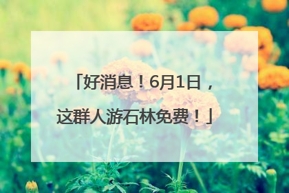 好消息！6月1日，这群人游石林免费！