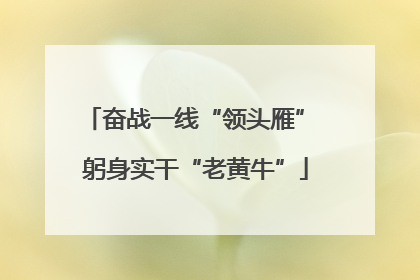 奋战一线“领头雁” 躬身实干“老黄牛”