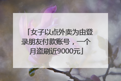 女子以点外卖为由登录朋友付款账号，一个月盗刷近9000元