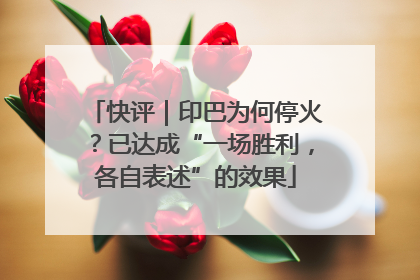 快评｜印巴为何停火？已达成“一场胜利，各自表述”的效果