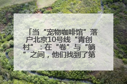 当“宠物咖啡馆”落户北京10号线“青创村”：在“卷”与“躺”之间，他们找到了第三种生活公式