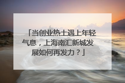 当创业热土遇上年轻气息，上海南汇新城发展如何再发力？