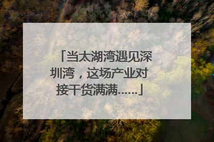 当太湖湾遇见深圳湾，这场产业对接干货满满……
