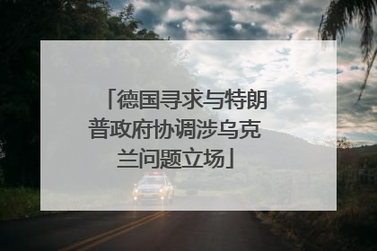 德国寻求与特朗普政府协调涉乌克兰问题立场