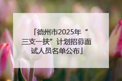 德州市2025年“三支一扶”计划招募面试人员名单公布