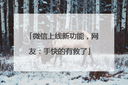 微信上线新功能，网友：手快的有救了