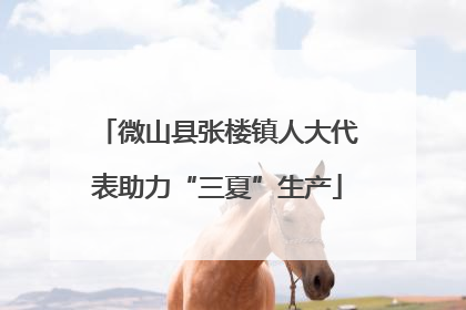 微山县张楼镇人大代表助力“三夏”生产