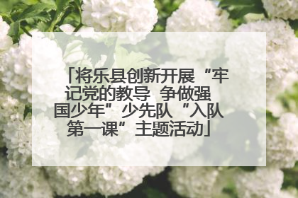 将乐县创新开展“牢记党的教导  争做强国少年”少先队“入队第一课”主题活动