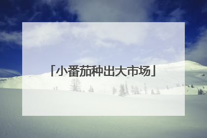 小番茄种出大市场