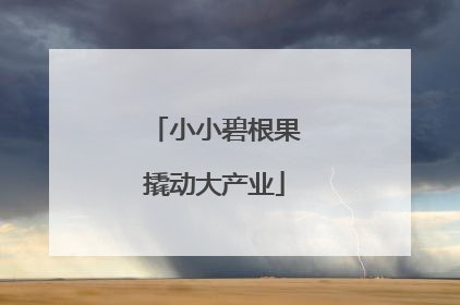 小小碧根果撬动大产业