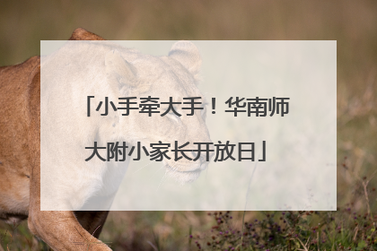 小手牵大手！华南师大附小家长开放日