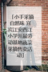 小手采摘自然味 宜宾江安西江小学开展劳动基地蔬菜采摘售卖活动