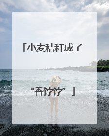 小麦秸秆成了“香饽饽”