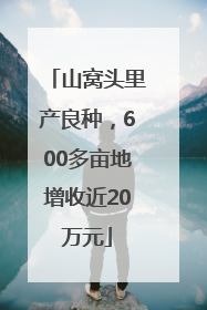 山窝头里产良种，600多亩地增收近20万元