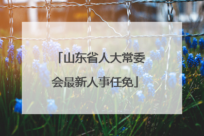 山东省人大常委会最新人事任免