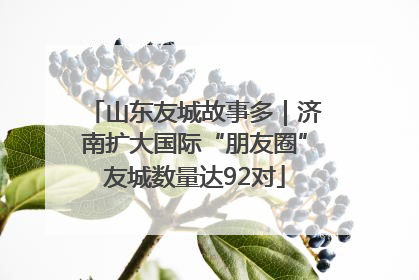 山东友城故事多｜济南扩大国际“朋友圈”友城数量达92对