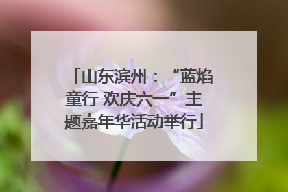 山东滨州：“蓝焰童行 欢庆六一”主题嘉年华活动举行